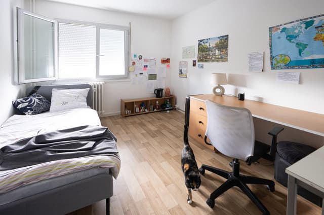 Photo du logement