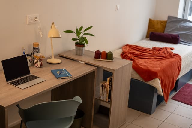 Photo du logement