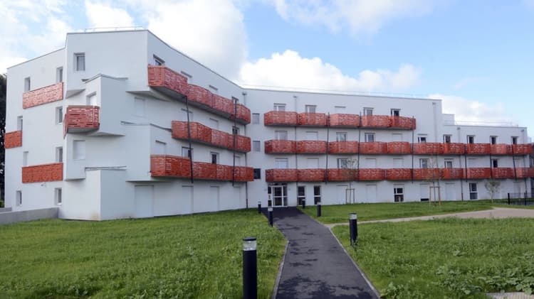 L'orée du campus