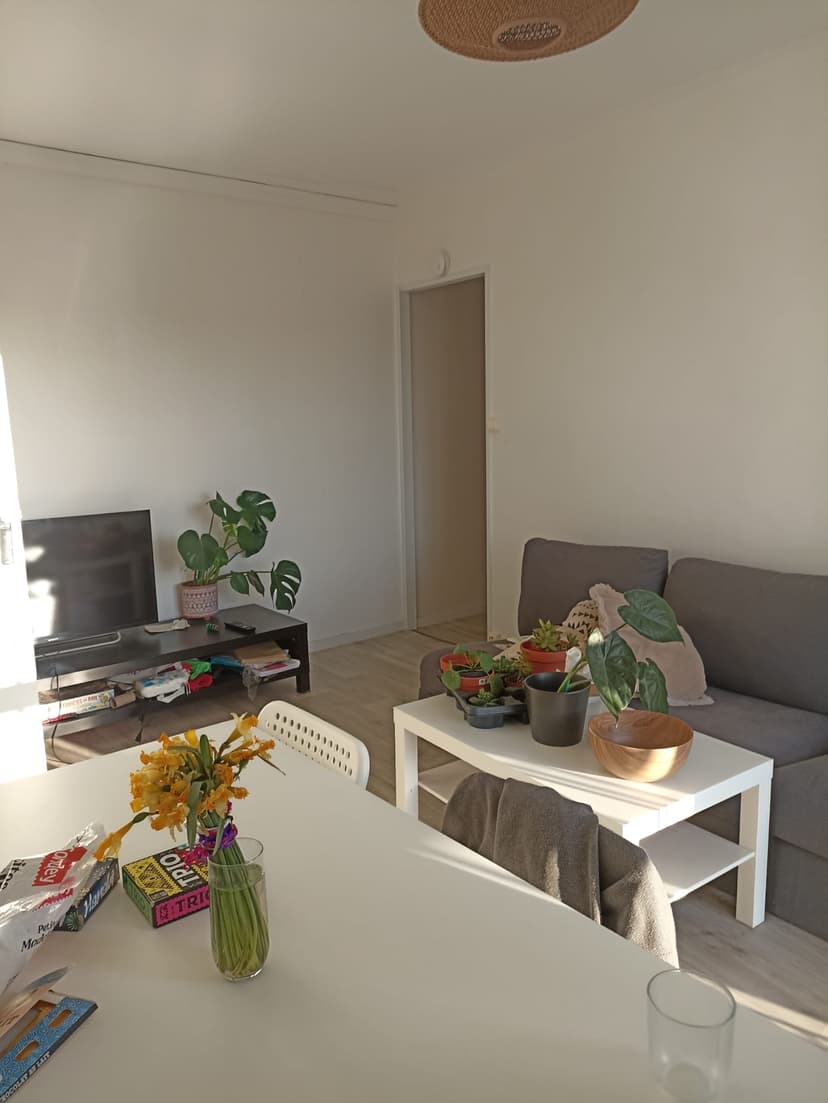 Photo du logement