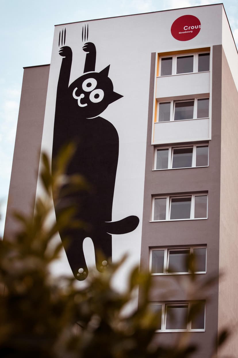 CITE UNIVERSITAIRE PAUL APPELL